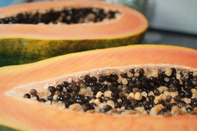 papaya, fruit, meal-885839.jpg